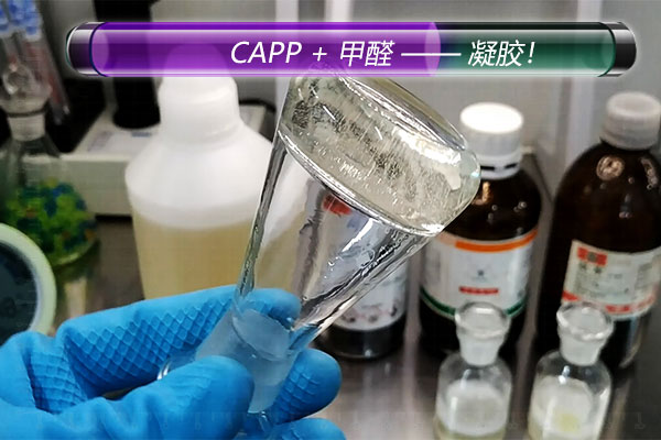 capp2.jpg capp2.jpg