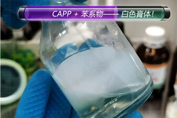 capp4.jpg capp4.jpg