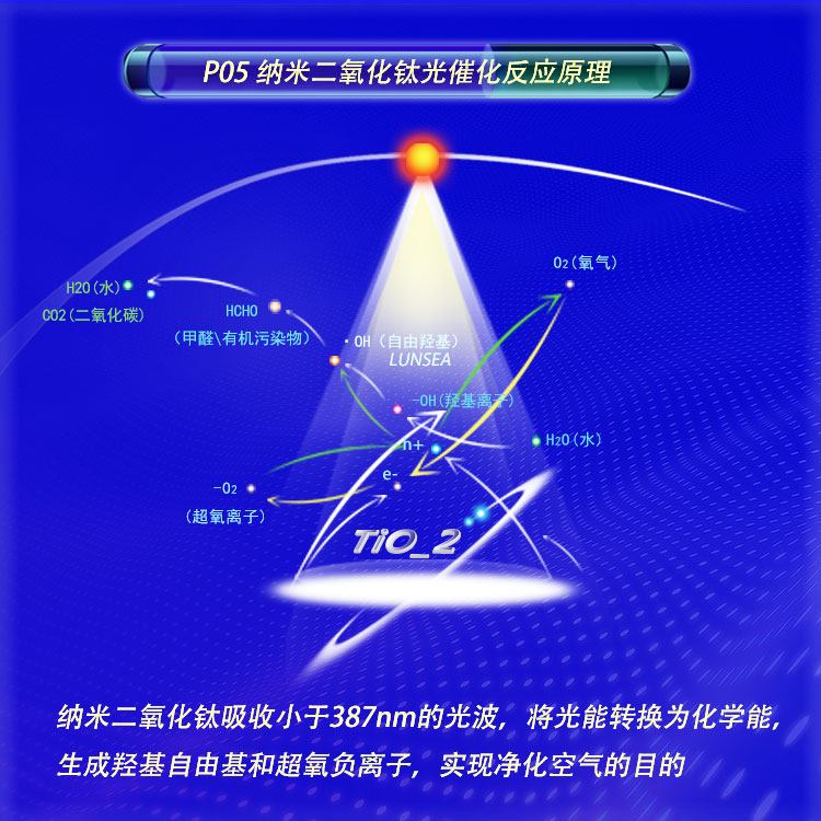 P05P750-3-1.jpg