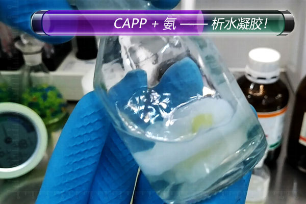 capp3.jpg capp3.jpg